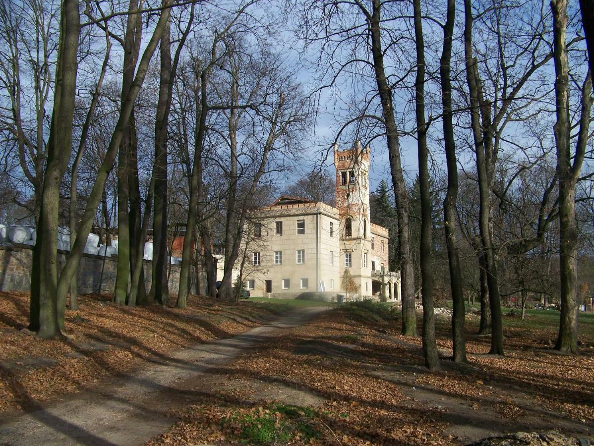 Palac Dabrowica Dabrowica  Exterior foto